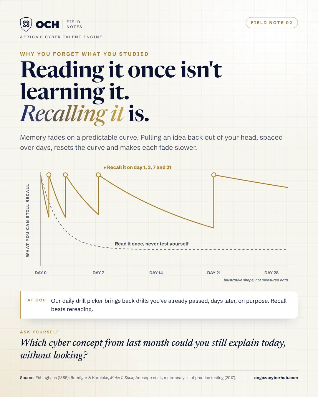 The forgetting curve